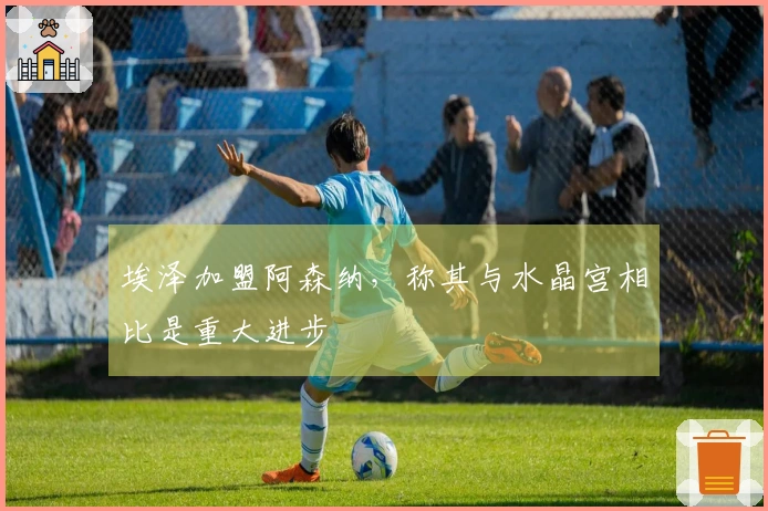 埃泽加盟阿森纳，称其与水晶宫相比是重大进步